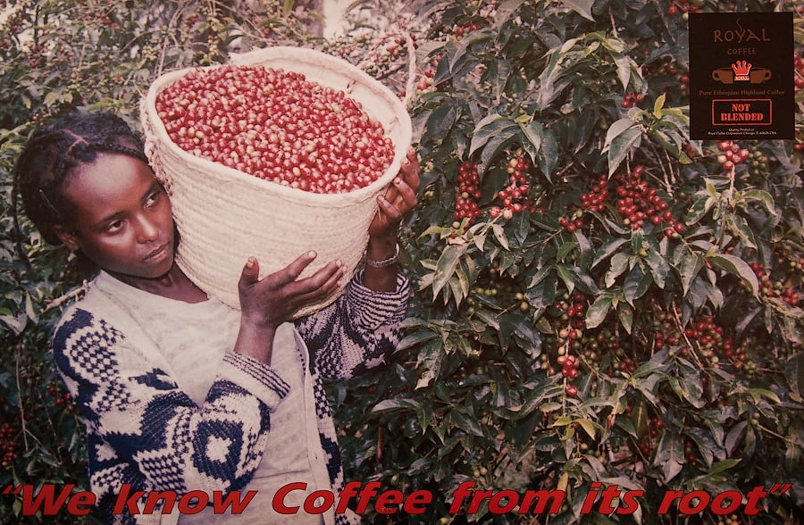 RoyalCoffeeUSA